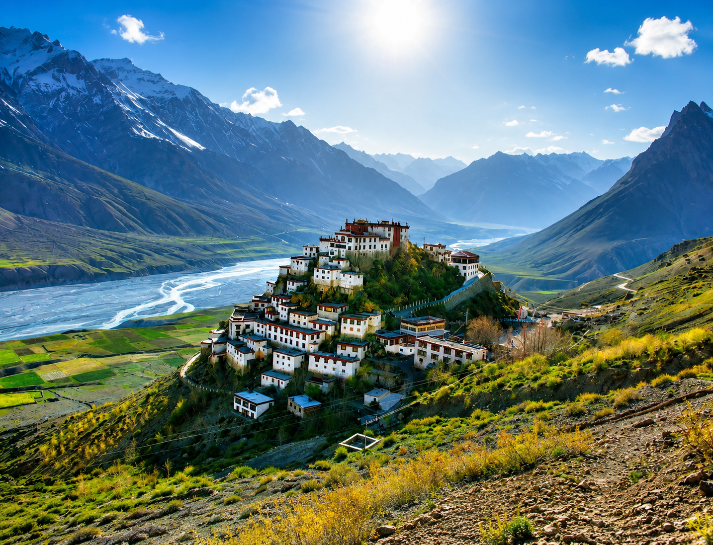 Nubra Valley: The Valley Of Flowers