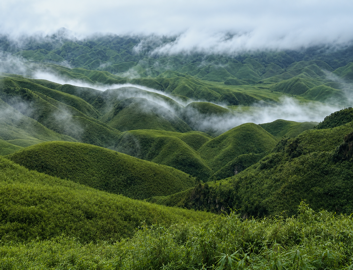 Dzukou Valley: The Valley Of Flowers