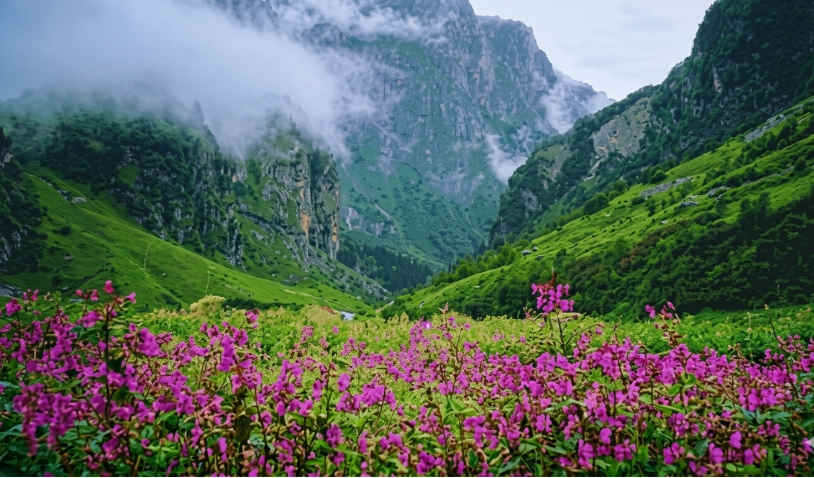Japfu Peak: Second Highest Peak Of Nagaland