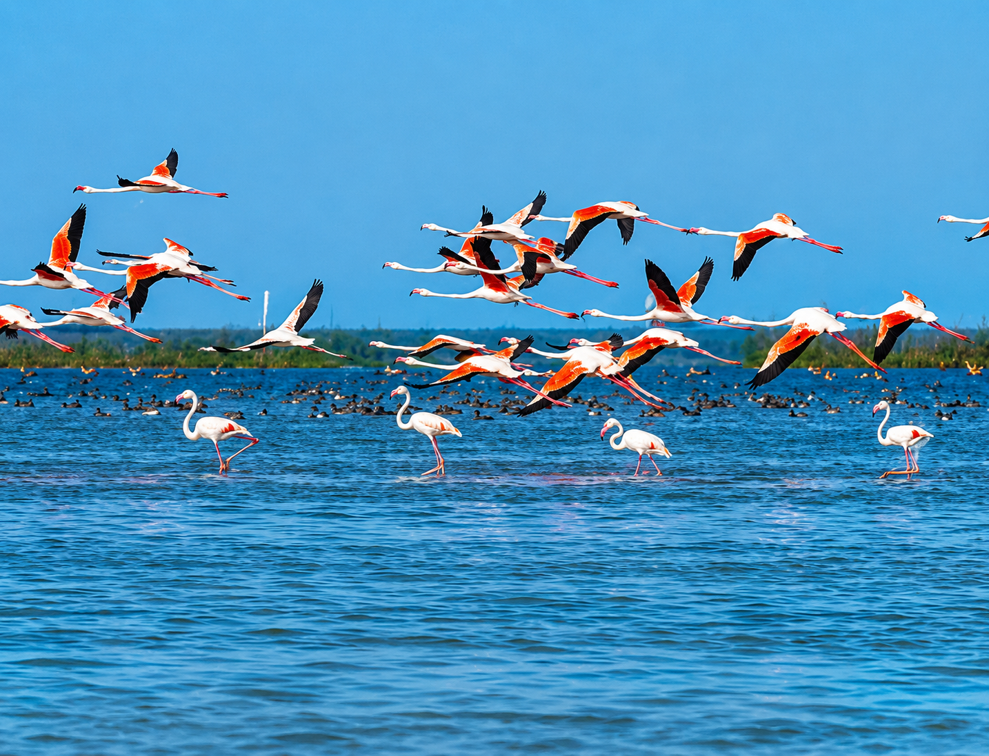 Chilika Lake: Asia's Largest Brackish Water