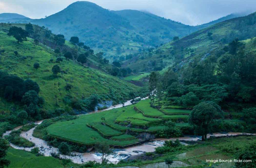 Araku valley: India's Most Instagrammable Landscape