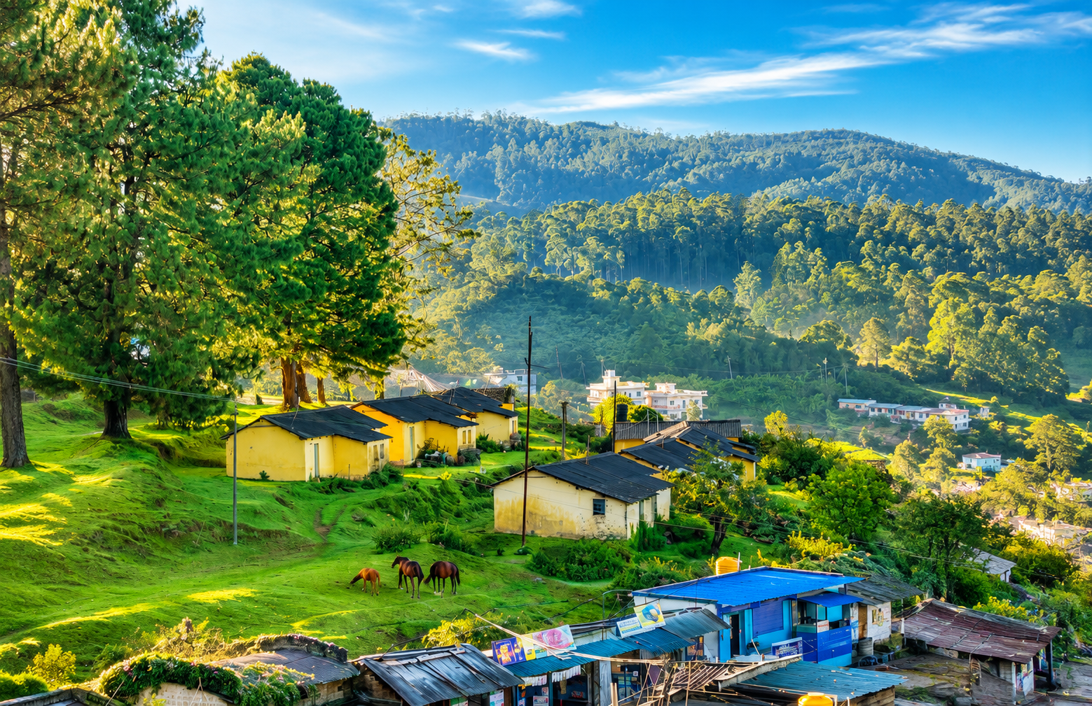Kodaikanal : The Princess Of Hill Stations