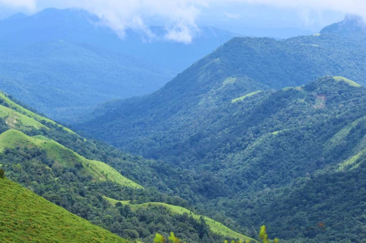 Chikmagalur :  Where Coffee Meets The Clouds