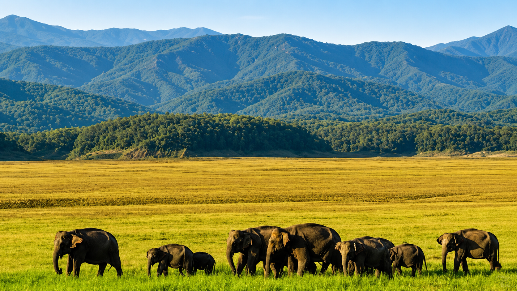 Jim-Corbett-National-Park : The Legacy Of India's First Tiger Reserve
