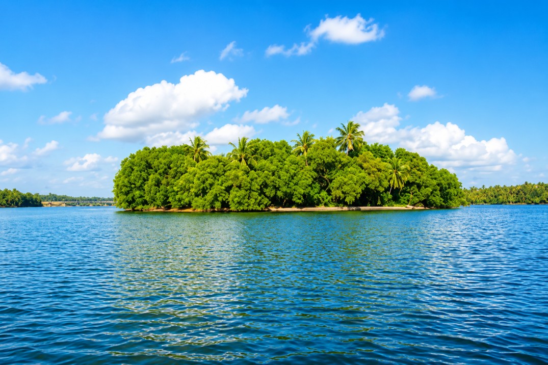 Golden Island  - Nature's Golden Escape