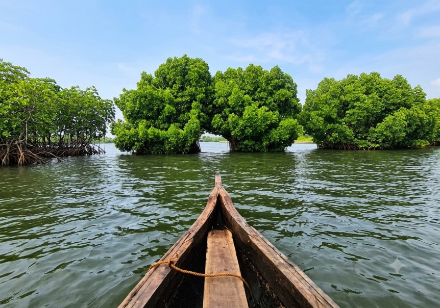 Munroe-Island : A Hidden Backwater Paradise In Kerela