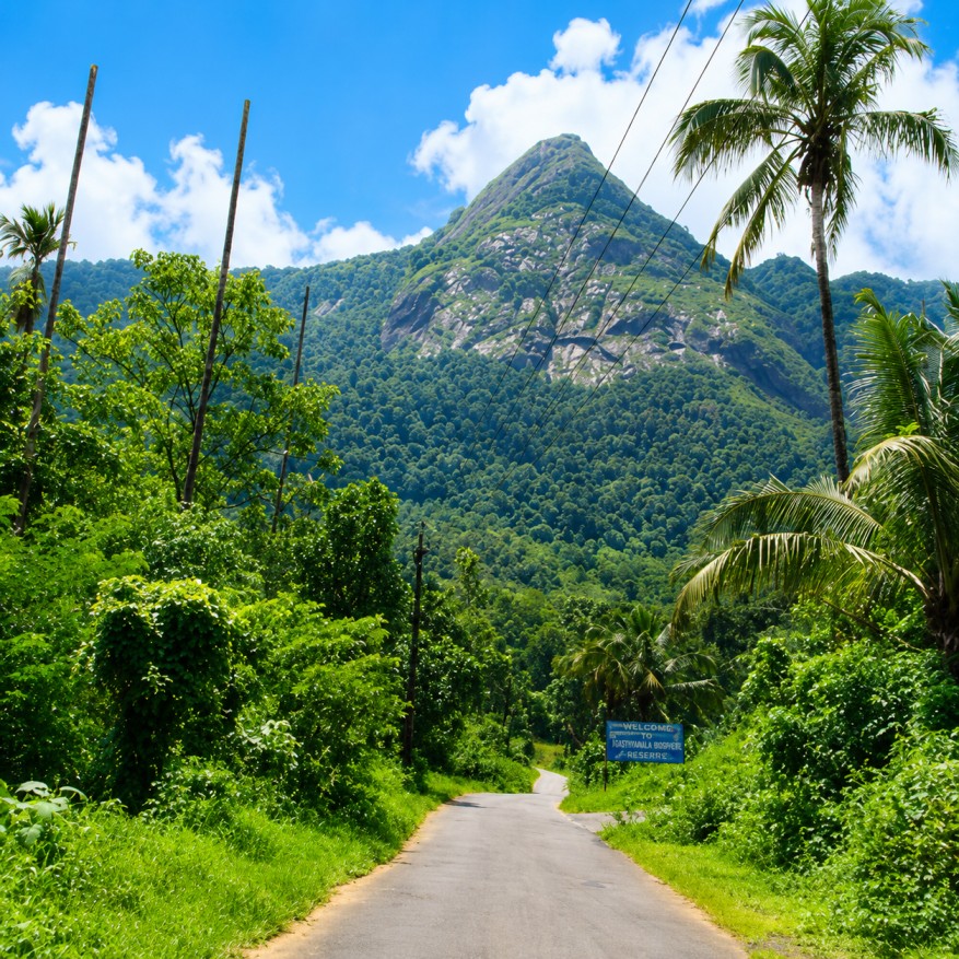 Vellarimara-Kerela's Hidden Mountain Paradise