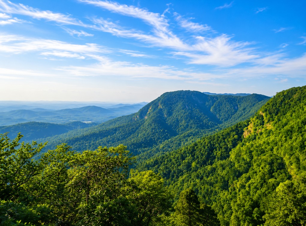  Agumbe- Where rainforests come Alive