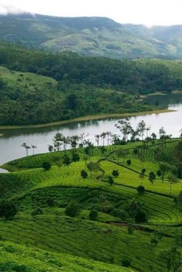 Rajamala Hill : The Green Crown Of Munnar 