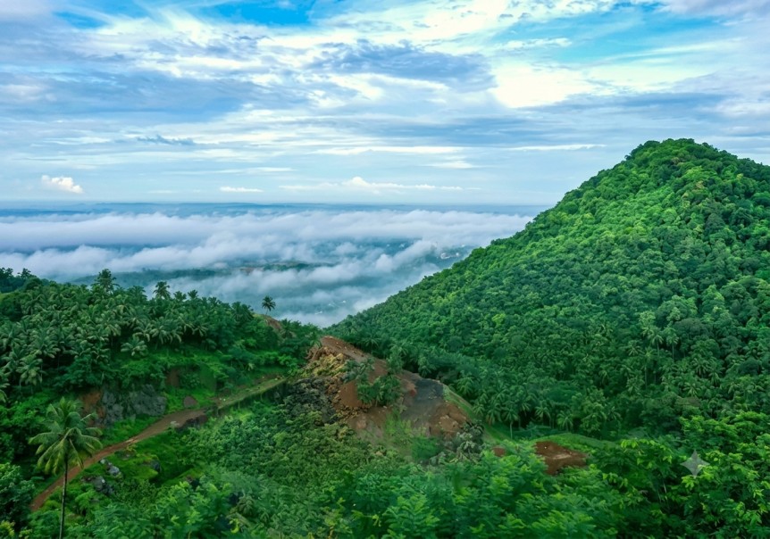 Arimba-Hills : The Mini Ooty Of Kerela