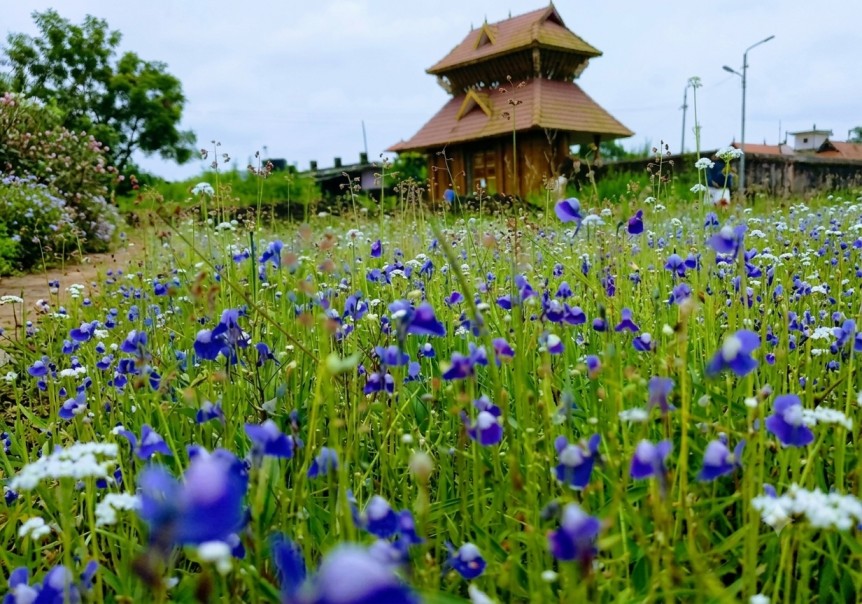 Madayipara : The Meadow Of Flowers In Kerela