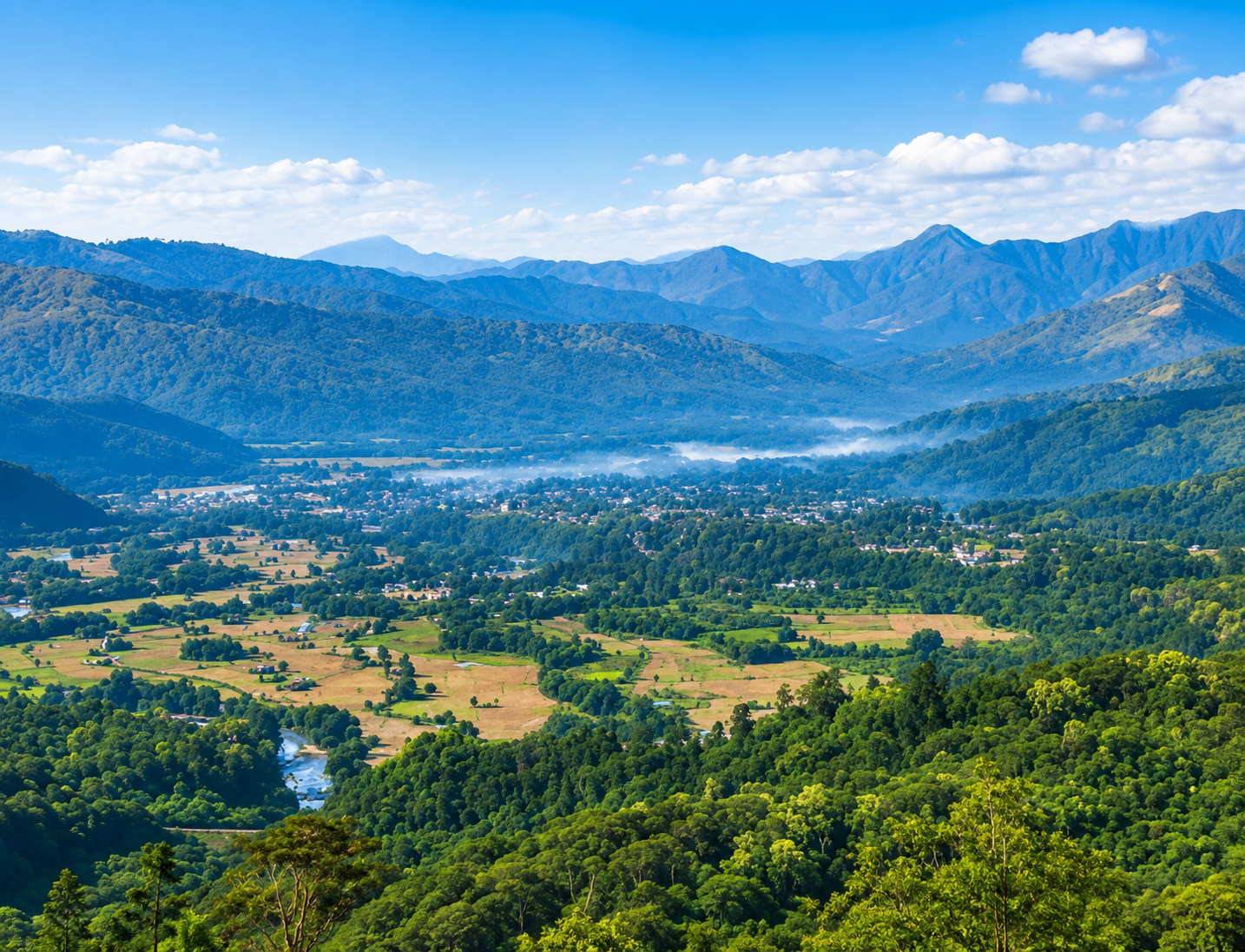 Aalo - Where Nature Meets Tribal Heritage 