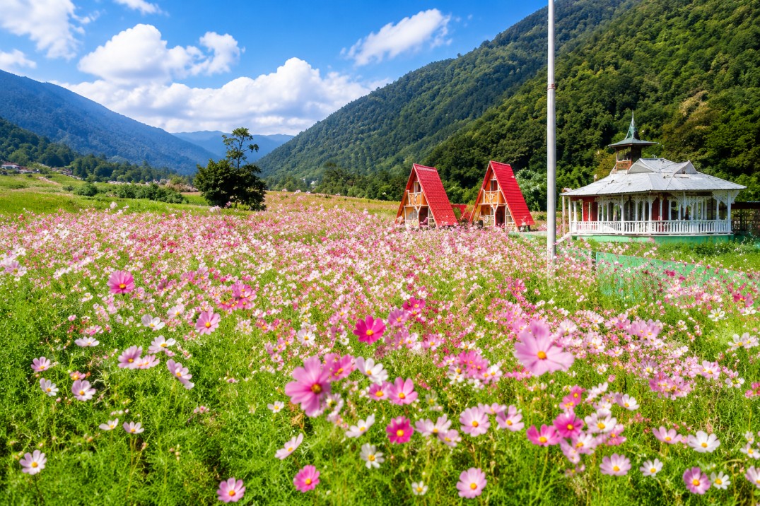Chug-Valley : A Serene Escape In The Heart Of Arunachal
