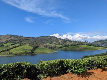 Megamalai-Wildlife-Sanctuary : The Hidden Gem Of The Western Ghats