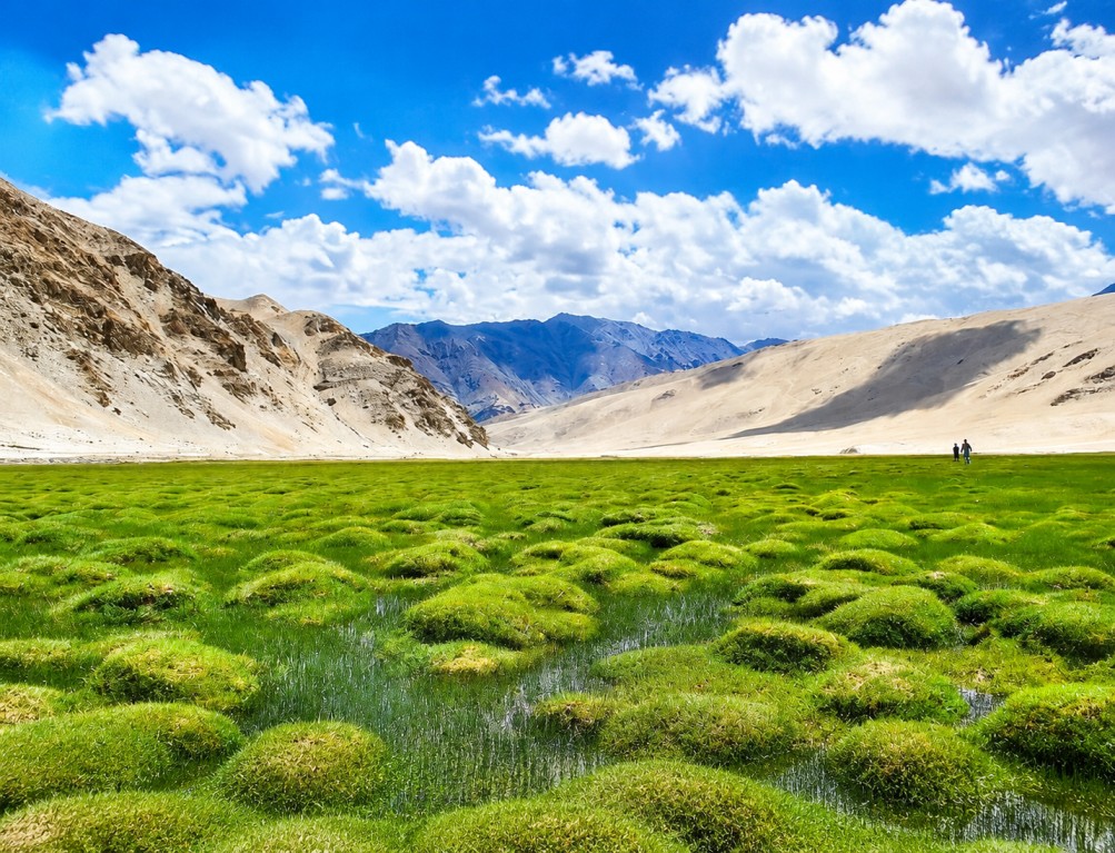 Puga Valley: A Journey Through the Valley of Hot Springs