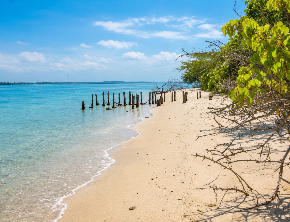 Krusadai-Island : A Hidden Jewel Of The Arabian Sea