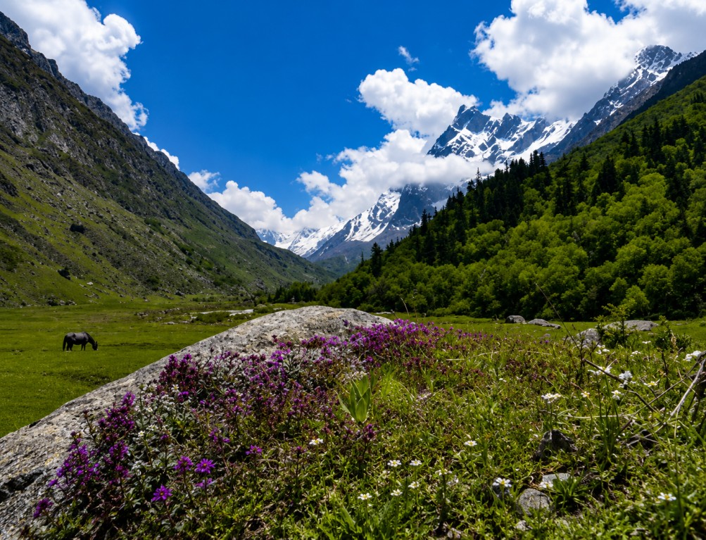 Har-Ki-Dun Valley : Valley Of Gods In Uttarakhand