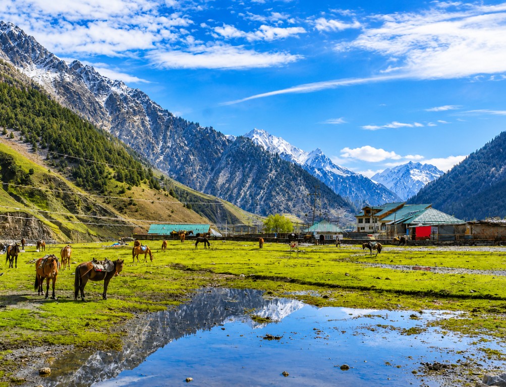 Bangas-Valley : A Hidden Meadow of Untouched Beauty