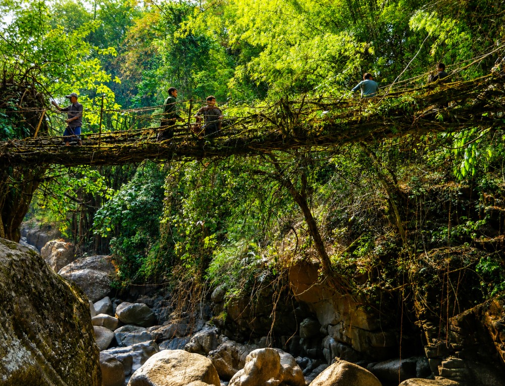 Mawphlang : The Sacred Forest Of Meghalaya's Khasi Hills