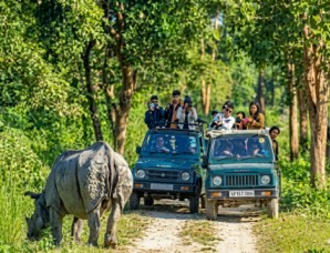 Pobitora-Wildlife-Sanctuary : Assam's Hidden Rhino Paradise