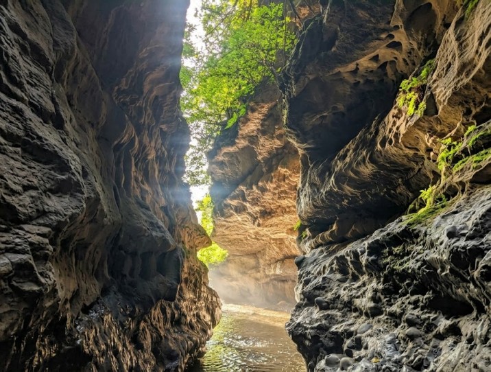 Robber's Cave: Explore Uttarakhand's Hidden Natural Wonder