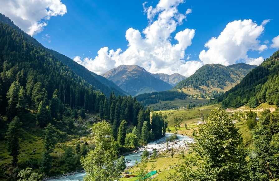 Aru-Valley : Kashmir's Hidden Meadow Paradise