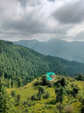 Mashobra : Where Nature Meets Serenity