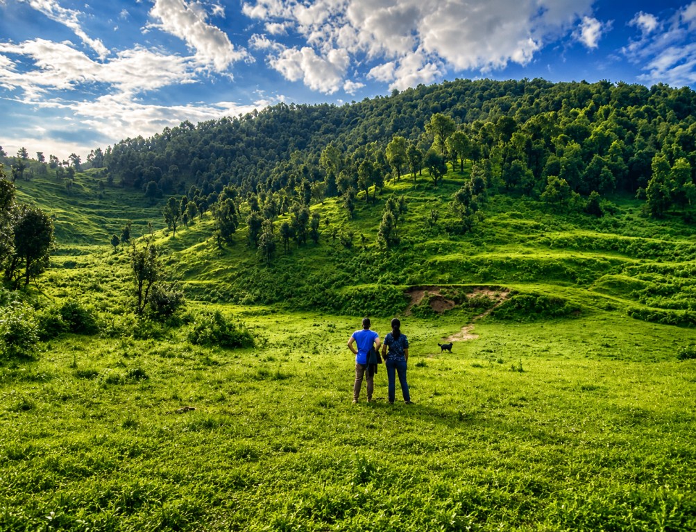 Didihat : A Serene Escape In Uttarakhand