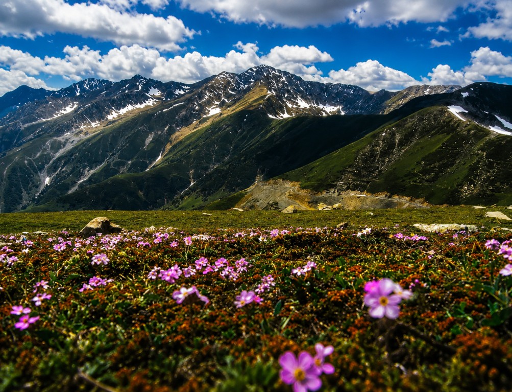 Sinthan-Top : The Hidden Gateway Between Kashmir & Jammu