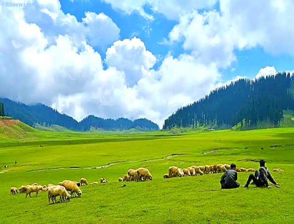 Lolab-Valley : Where Nature Feels Alive