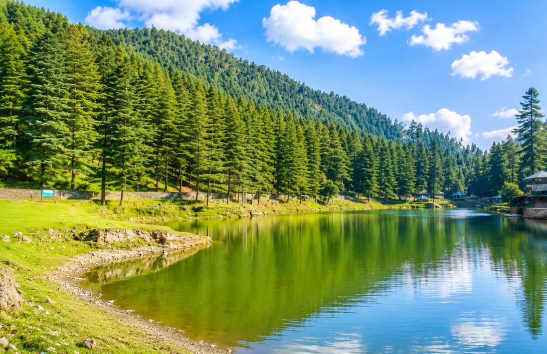 McLeod Ganj : A Quiet Escape Into Nature