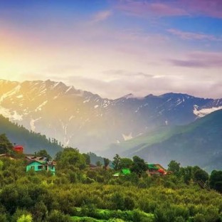 Naldehra : The Green Paradise Near Shimla
