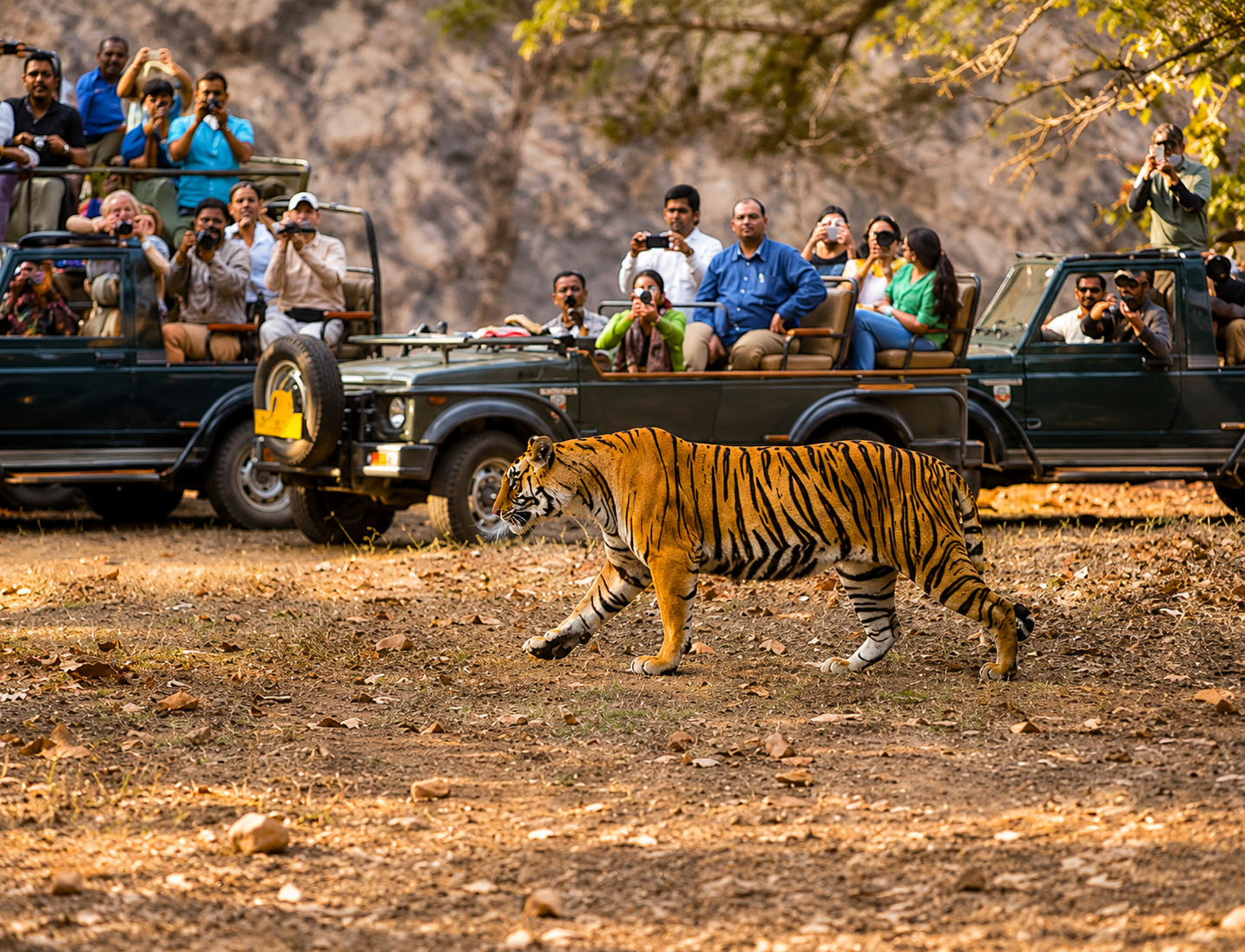 Belta National Park : The Wild Heart Of Jharkhand